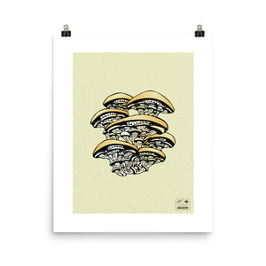 Oyster Mushroom Limited Print (1/7)